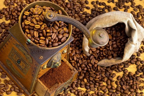 Many coffee beans lying next to a coffee grinder. Freshly ground coffee Austria