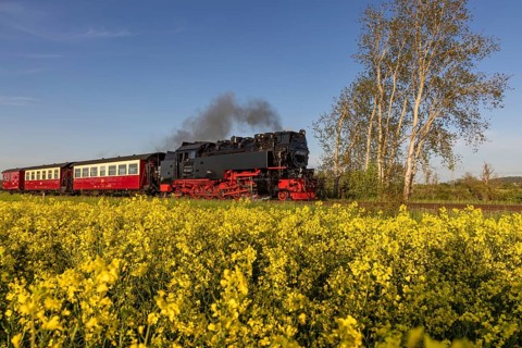 Selketal railway between Quedlinburg and Gernrode