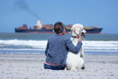 Woman sits together with her dog, a white poodle, amicably familiar on the beach in the sunshine,