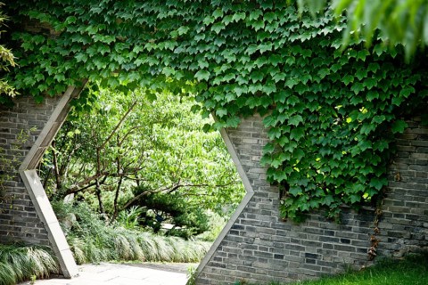 To the secret garden