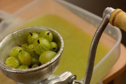 Fresh green gooseberries in a berry press - close-up