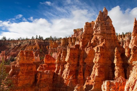 Rock Formation of Queens Stone Garden, Bryce Canyon National Park, Utah