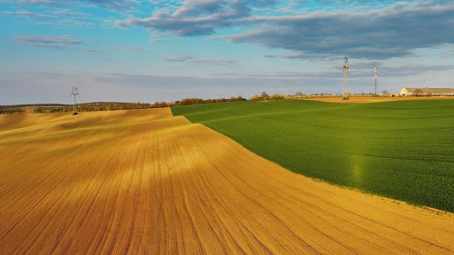 Aerial view of amazing green wavy hills with agricultural fields in evening spring. South Moravia