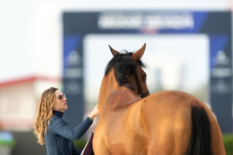 Horses, grooms and riders take part in the vet check assessing the health of the horse before