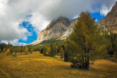 Landscape in autumn at Passo Falzarego, Dolomites, Italian Alps