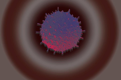 Covid-19 Novel Coronavirus Bacteria. No Infection and Stop Coronavirus Concepts