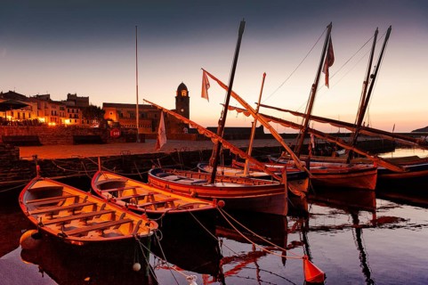 Catalan pointu boats at early morning at the port of Collioure, Cote Vermeille, Pyrenees-Orientales
