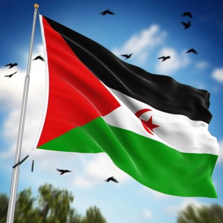 Flag of the Sahrawi Arab Democratic Republic, This is a computer generated and 3d rendered image