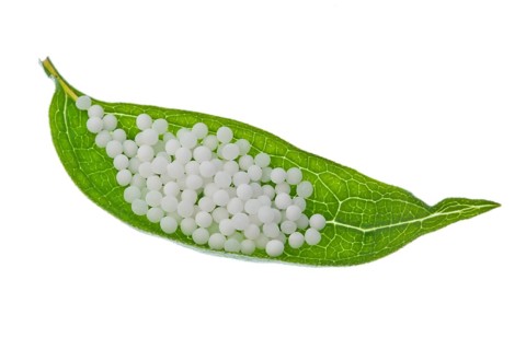 Globules for the treatment of diseases in gentle, alternative medicine. Tablets and medicines.