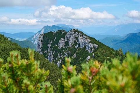 Mountain landscape with Hörndlwand, Ruhpolding, Chiemgau, Chiemgau Alps, Upper Bavaria, Bavaria,