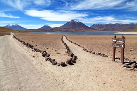 Laguna Miscanti in the Atacama Desert in Chile