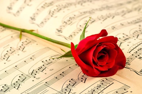 ?usical notes and red rose. Selecrive focus, shallow deep of field