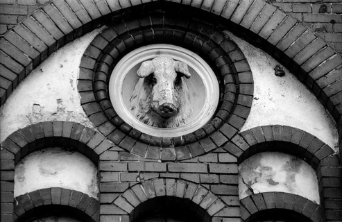 Germany, Berlin, 03.04.1992, Logo, pig's head, former slaughterhouse on Landsberger Allee (formerly