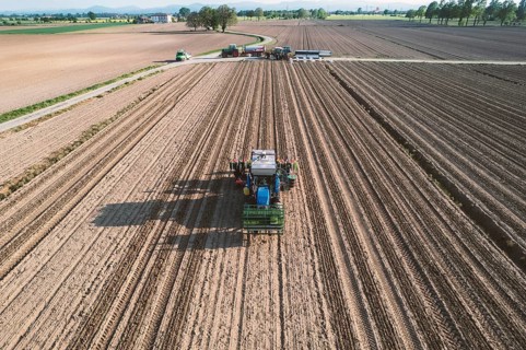 Blue tractor is planting tomatoes in a field, leaving a trail of freshly turned soil behind it as