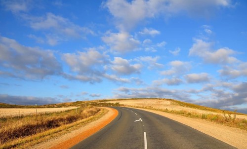 Urban tar road in between wheat fields in South Africa