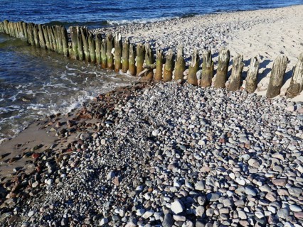 Old groynes on the pebble beach