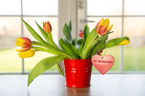 Red heart and flowers for my valentine