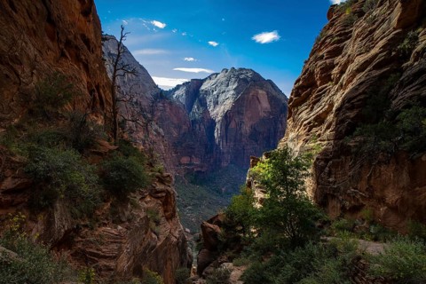 Panorama of Zion National Park as seen from Angel's Landing, Utah, USA, North America