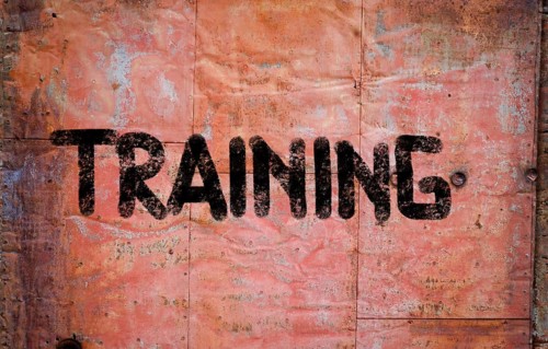 Training Concept
