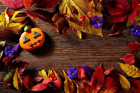 Halloween pumpkin copy space on wooden background backdrop