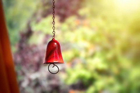 An image of a red color bell in the garden with bokeh background