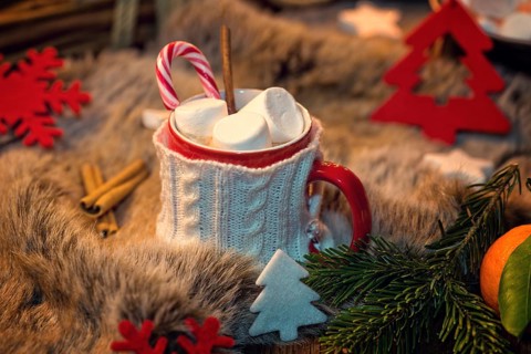 Hot chocolate with marshmallow