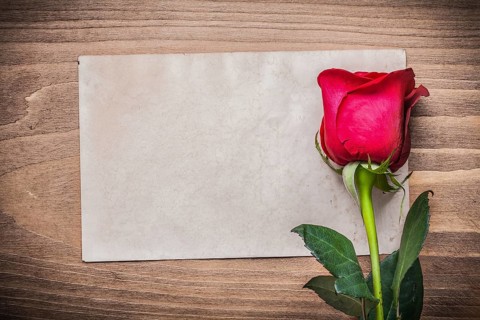 Old sheet of paper and red rosebud on wooden board
