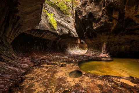 Magnificent Subway gorge landmark in the Zion National Park in Utah, USA, North America