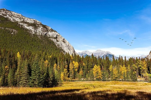 The Banff in the Rocky Mountains. Canada. Sunny day in autumn Indian summer. The mountains are