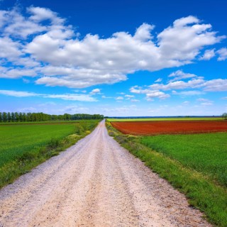 The way of saint James neverending cereal fields at Palencia Spain