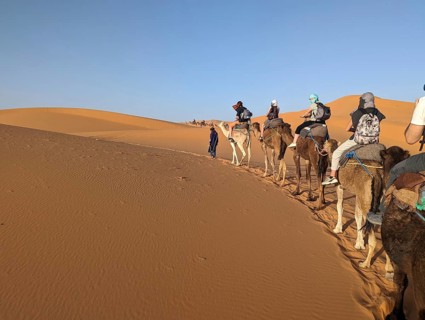 A caravan of dromedaries passing the Sahara desert in the evening, Erg Chebbi in Morocco