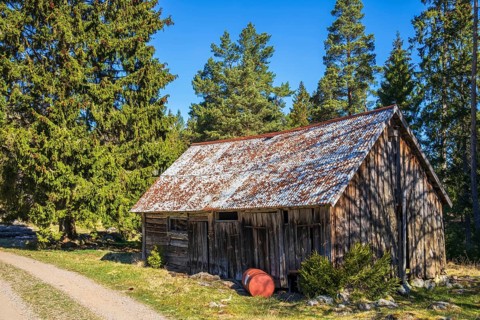 Old weathered barn by a forest road