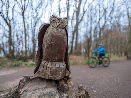 Wooden owl on a path in the haunted forest on the cliffs leading to the Baltic Sea, Nienhagen,