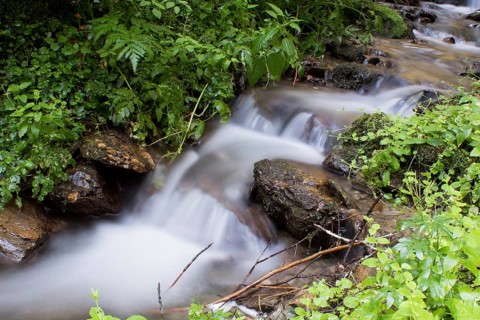 Stream (rivulus)