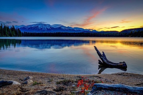 Beautiful autumn landscape scene in mountain in background in Jasper National Park west Canada