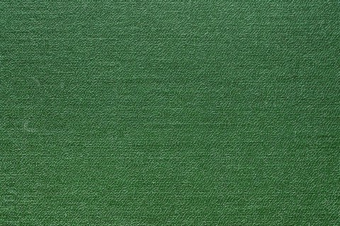 Green abstract texture for background. Close-up detail macro photography view of texture decoration