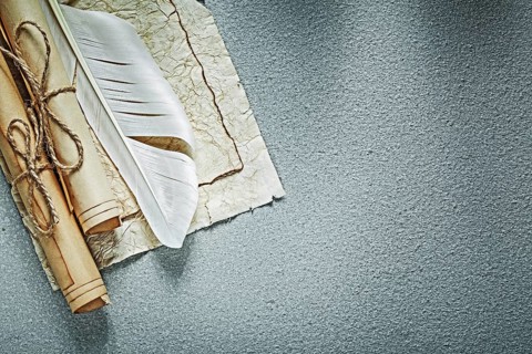 Vintage paper scrolls plume on grey background top view