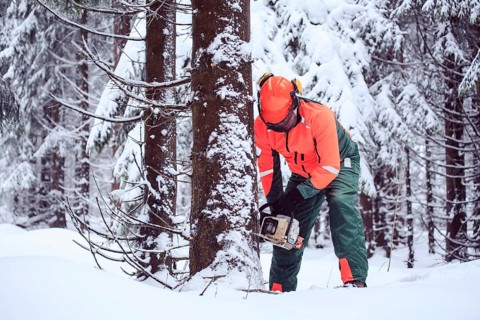 A woodcutter at work in the winter forest
