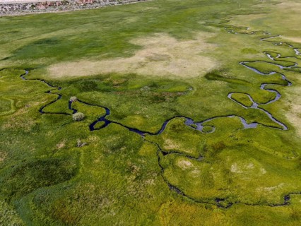 Aerial view of green land and small curve river in Aspen Springs, Mono County California, USA,