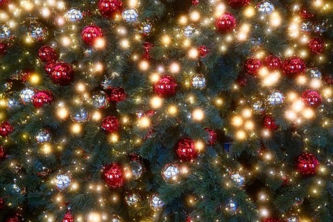 Illuminated Christmas tree, Christmas decoration, Roermond, Netherlands