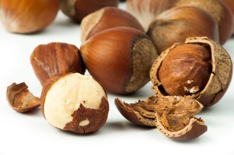 Closeup raw hazelnuts white isolated. One broken hazelnut and other purposes
