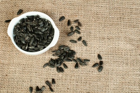Sunflower seed on burlap brown background