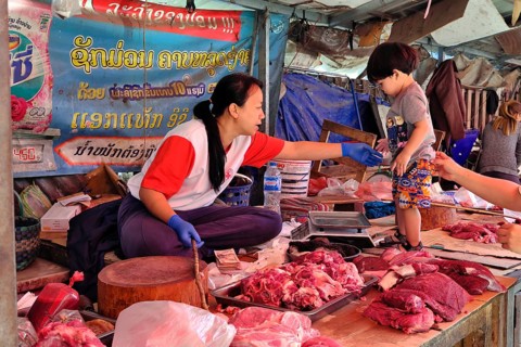 Stall of a meat trader at a market, Luang Prabang, Laos, Asia