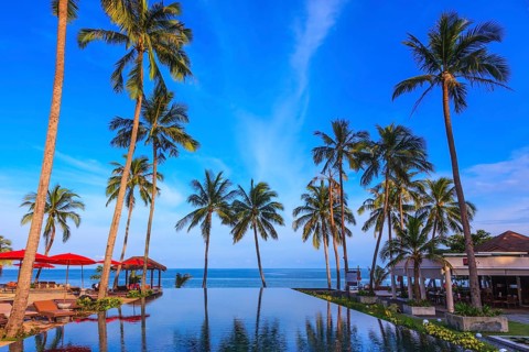 Pool surrounded by palm trees on the sea beach. On the edge of the pool red sun canopy. Rest of the
