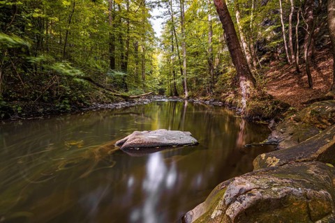 Autumn magic in the Georgewitzer Skala/ Löbauer Wasser 3