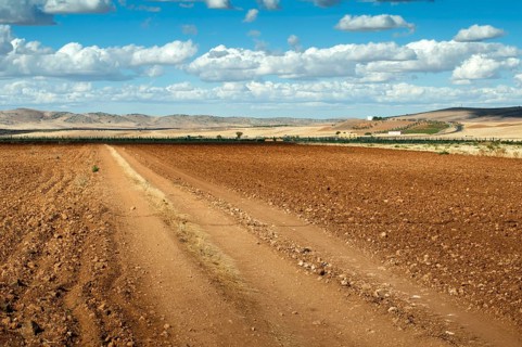 Rural road and blue cloudy sky
