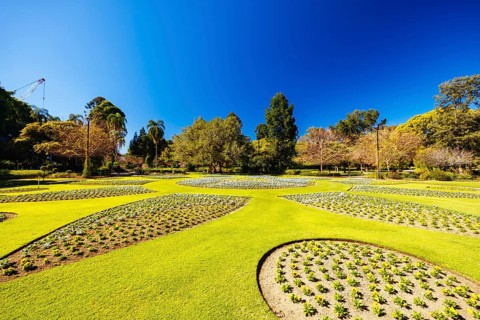 BRISBANE, AUSTRALIA - JULY 29 2023: City Botanic Gardens on a clear winter's day in Brisbane,