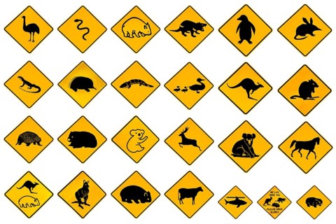 Australian warning signs for wildlife animals: Emu, Echidna, Tasmanian Devil, Wombat, Kangaroo,