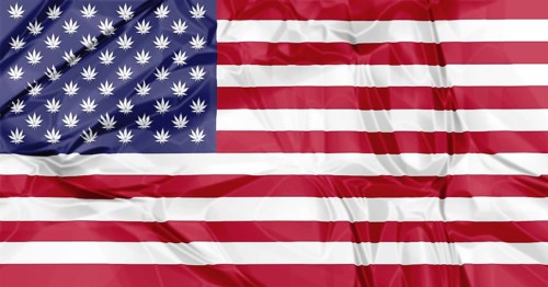 The national United States flag with Marijuana leafs inside, illustration background. concept for