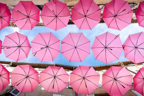 Colorful umbrellas canopy adorning a cozy european alleyway under bright daylight. Grasse, Provence